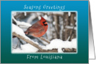 Seasons Greetings from Louisana, Cardinal in the Snow. card