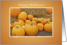 Happy Halloween, Pumpkins and Straw card