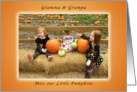 We Miss Our Little Pumpkins, Halloween card