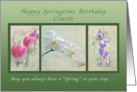Happy Springtime Birthday for a Cousin, Flower Collection card