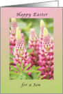 Happy Easter For a Son, Pink Lupine card