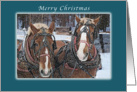 Merry Christmas, Draft Horses Winter Scene card