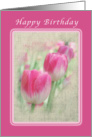 Happy Birthday Pink tulips, blank card