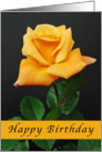 Happy Birthday, orange-yellow rose card
