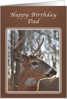 Birthday Wishes for Dad, Deer, whitetail buck card