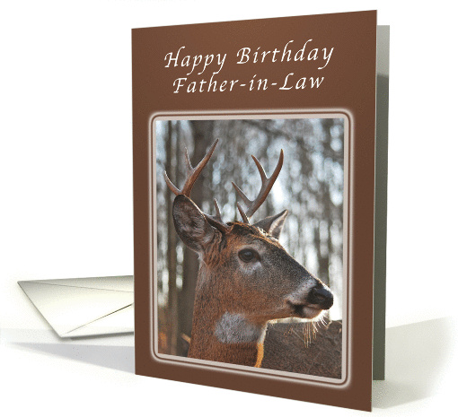 Birthday Wishes for a Father-in-Law, Deer, whitetail buck card
