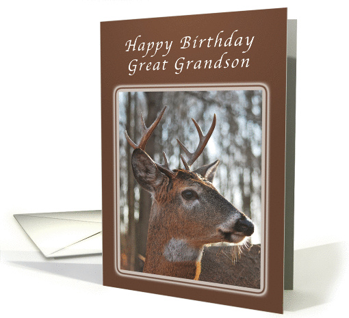 Birthday Wishes for a Great Grandson, Deer, whitetail buck card