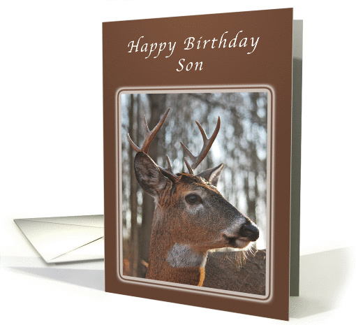 Birthday Wishes for a son, Deer, whitetail buck card (1002489)