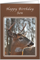 Birthday Wishes for a son, Deer, whitetail buck card
