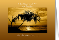 A Birthday Wish for Brother, As The Sun Rises, Palm Tree card