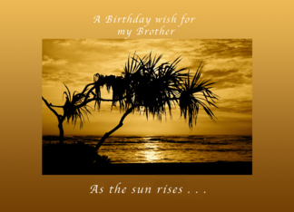 A Birthday Wish for...