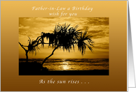 Father-in-Law a Birthday Wish , As The Sun Rises, Palm Tree card
