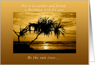 Co-Worker and Friend a Birthday Wish , As The Sun Rises, Palm Tree card