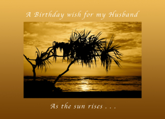 A Birthday Wish for...