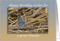 Happy Birthday Wishes for a Great Teacher, Blue Butterfly card