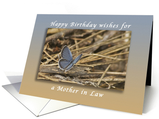 Happy Birthday Wishes for a Mother in Law, Blue Butterfly card
