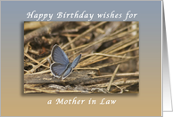Happy Birthday Wishes for a Mother in Law, Blue Butterfly card