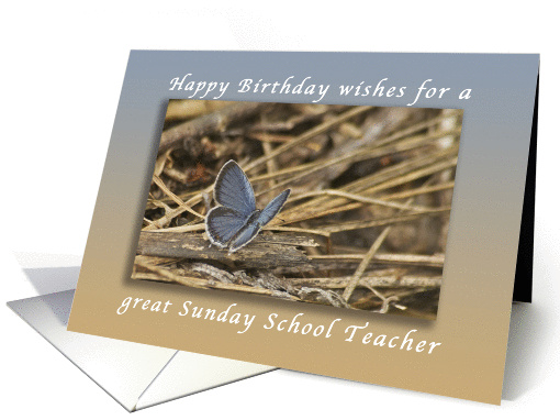Happy Birthday Wishes for a Sunday School Teacher, Blue Butterfly card