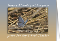 Happy Birthday Wishes for a Sunday School Teacher, Blue Butterfly card