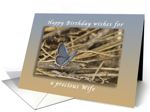 Happy Birthday Wishes for a Precious Wife, Blue Butterfly card