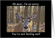 Oh Deer Get Well Soon card