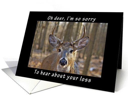 Oh Deer Sorry to Hear About Your Loss, blank card (1005887)