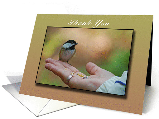 Thank You, Chickadee, Bird in Hand, blank card (1007639)