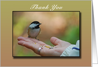 Thank You, Chickadee, Bird in Hand, blank card