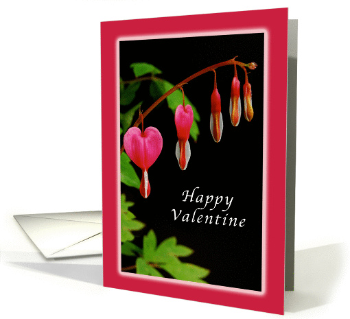 Happy Valentine's Day, Red Bleeding Hearts, flowers, blank card