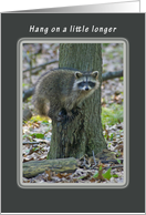 Hang on a Little Longer, encouragement, Raccoon. card