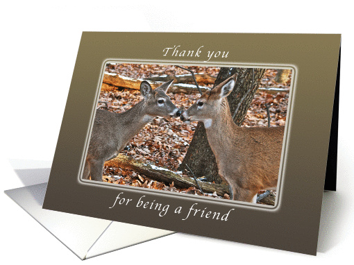 Thank You for being a Friend, Two Deer card (1009217)