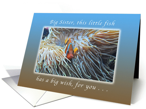 Little Fish with a Big Happy Birthday Wish Big Sister, Clown Fish card