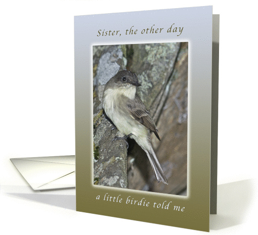 Happy Birthday, A Little Birdie Told Me_Sister card (1009917)