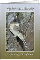 Happy Birthday, A Little Birdie Told Me_Nephew card
