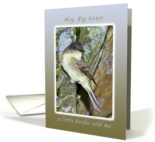 Happy Birthday, A Little Birdie Told Me_Big Sister card (1009959)