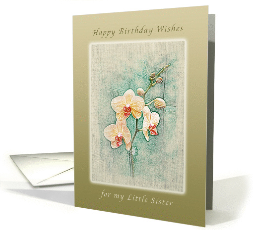 Happy Birthday Wishes, for my Little Sister, Peach Orchids card