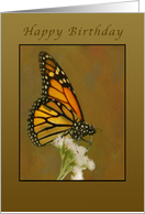 Happy Birthday, Butterfly, blank card