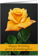 Happy Birthday for a Great Granddaughter, Yellow-Orange Rose, card