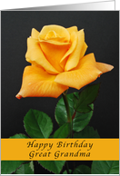 Happy Birthday for a Great Grandma, Yellow-Orange Rose, card