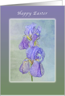 Happy Easter Purple lavender Purple card