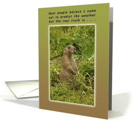 Groundhog Day Birthday the Real Truth card (1014183)