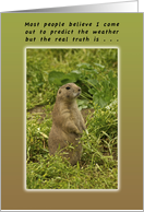 Groundhog Day Birthday the Real Truth card
