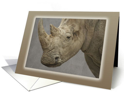 Rhinoceros Blank Note card (1014777)