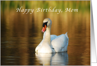 Happy Birthday, Mom...