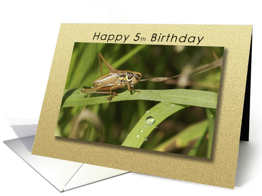 Happy 5th Birthday Grasshopper card (1015807)