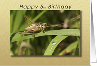 Happy 5th Birthday Grasshopper card