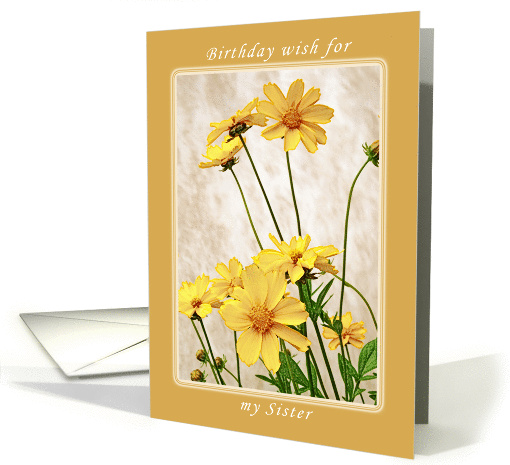 Birthday Wish for Sister Yellow Spring Blossoms card (1016371)