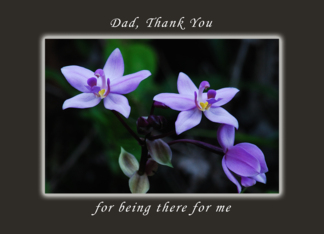 Thank You Dad for...