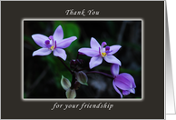 Thank You for your Friendship, wild purple orchid card