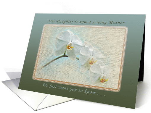 Our Daughter now a Loving Mother, Happy Mother's Day,... (1016635)